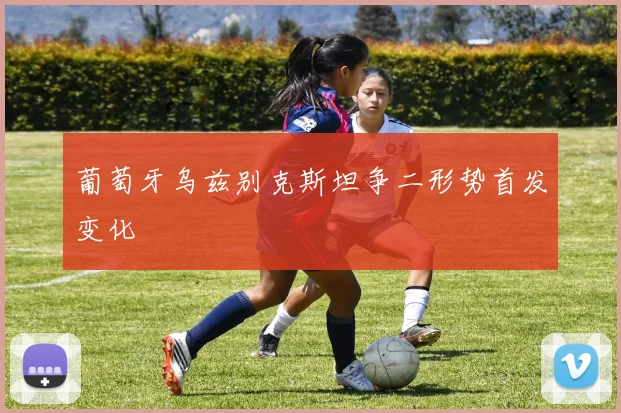 葡萄牙乌兹别克斯坦争二形势首发变化