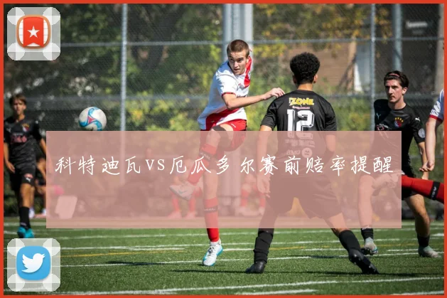 科特迪瓦vs厄瓜多尔赛前赔率提醒