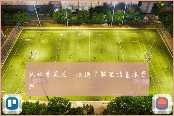 认识费莱尼：快速了解里的基本资料