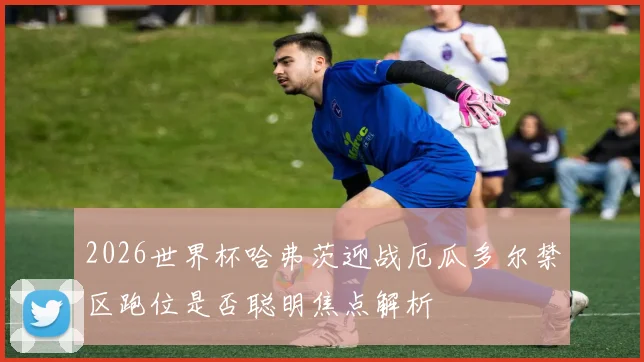 2026世界杯哈弗茨迎战厄瓜多尔禁区跑位是否聪明焦点解析